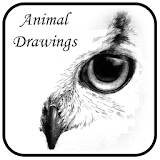 Animal Drawings icon