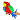 Birds Coloring Games
