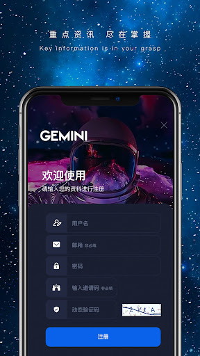 GeminiVPN Screen 3