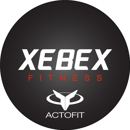 Xebex Actofit Download on Windows