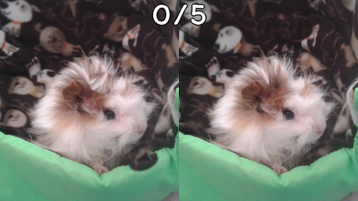 Find differences (multiplayer) Screen 2