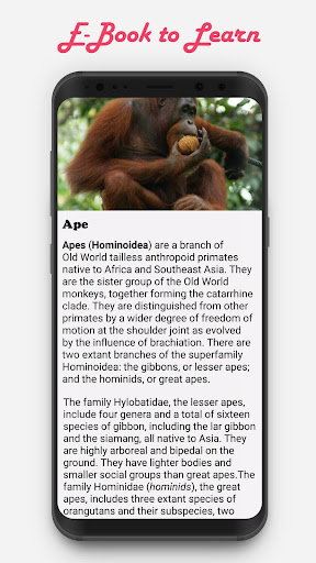 Rangeela  Coloring Book