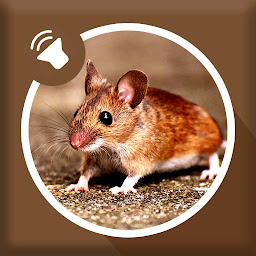 Icon image Mice and Mouse Sound