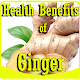 Health Benefits of Ginger Tải xuống trên Windows