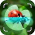 Picture Insect Bug Identifier7.0