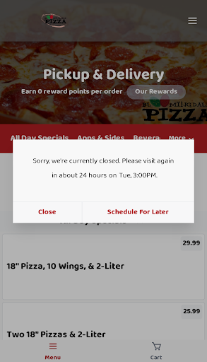 Bloomingdale Pizza 2 Screen 2