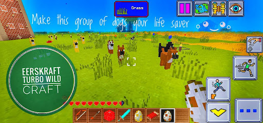 EersKraft Turbo Wild Craft Screen 3