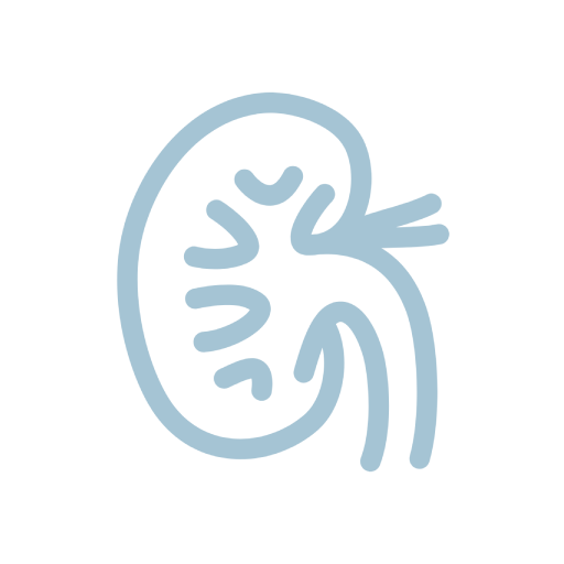 kidney.wiki: learn kidneys 1.0.0.1 Icon