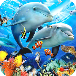 Icon image Dolphin Wallpaper