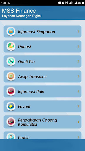 MSS Finance Screen 2