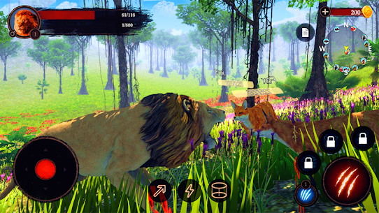 The Lion 3