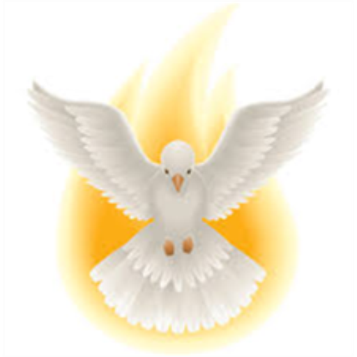 Devotion to the Holy Spirit logo