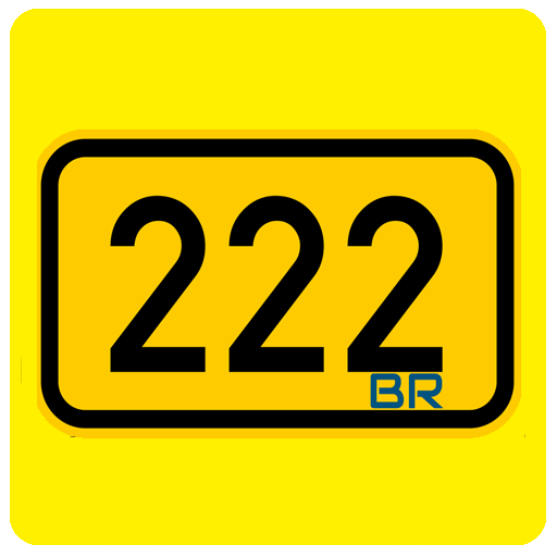222br - Motorista