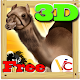 Camel race 3D