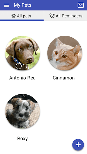 Mahomet Animal Hospital Screen 3