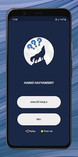 Uygulama önizlemesi