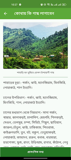 কোথায় কি গাছ লাগাবেন