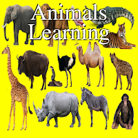Animals Learning: Animals, Bir