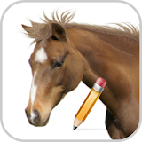 How To Draw Horse icon