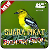 Suara Burung Sirtu Pikat MP3 Offline