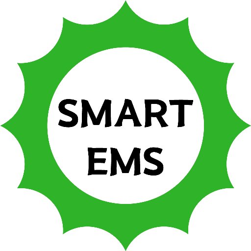 Mini EMS logo