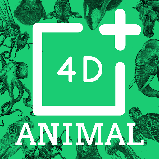Animal 4D+ - Ứng dụng trên Google Play