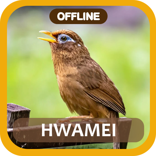 Masteran Hwamei Wambi logo
