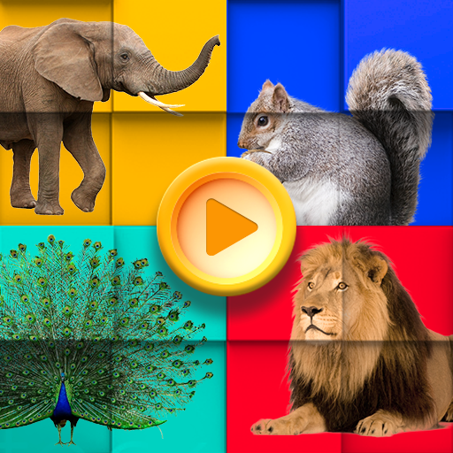 Animals puzzles - photo jigsaw  Icon