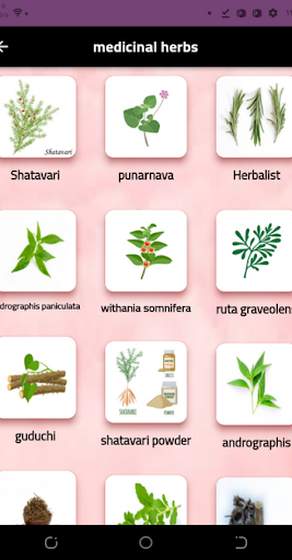 medicinal herbs Screen 2