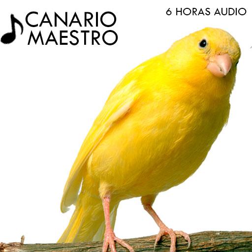 Canto de Canarios Изтегляне на Windows