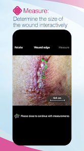 Screenshot image