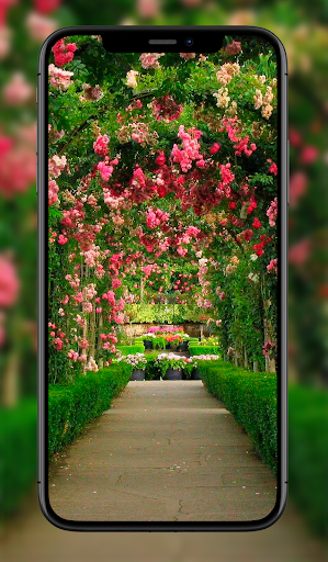 Garden Wallpapers Screen 2