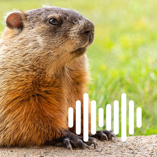 Groundhog Hunting Calls logo