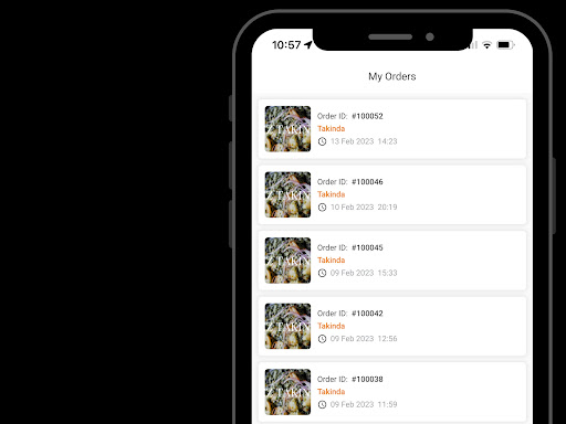 The-AfricanBasket Livreurs