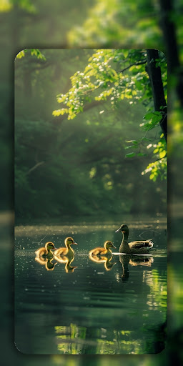 Cute Animal Wallpaper HD screenshot 13