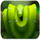 Rattlesnake sounds icon