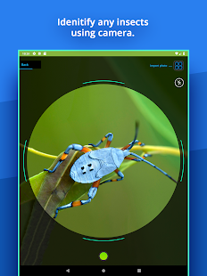 Insect Identifier Captura de tela