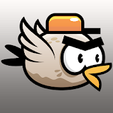 Grumpy Flappy Bird icon