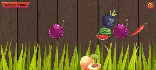 Fruit Salad Game 2D