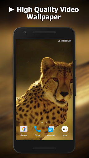 Android application Cheetah Video Live Wallpaper screenshort