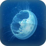 Glowing jellyfish Live Wallpap icon