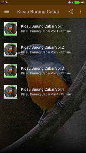 Suara Burung Cabai Bunga Api Screen 2