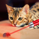 Laser Pointer Simulator Cat icon