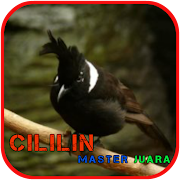 Top 37 Entertainment Apps Like Cililin Master Juara Offline - Best Alternatives