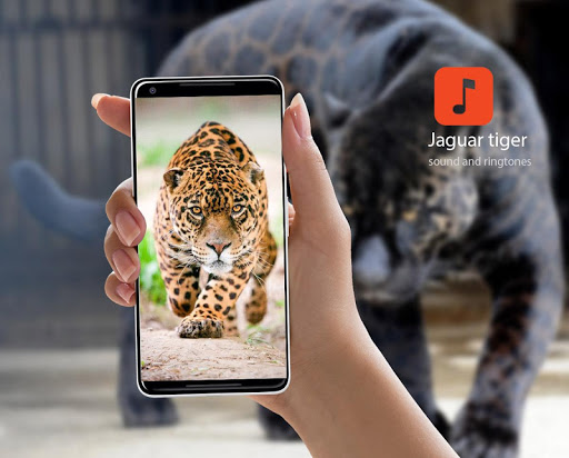 Android application Jaguar tiger sounds screenshort