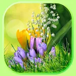 Cover Image of डाउनलोड Spring Flowers Live Wallpaper 1.3 APK