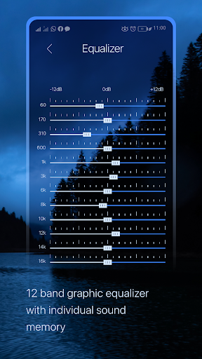 Sound Oasis S-6000 Screen 3