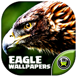Eagle Wallpapers ( OFFLINE ) icon