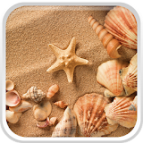 Sea Shell Live Wallpaper icon