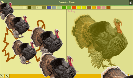 Animal and birds sounds